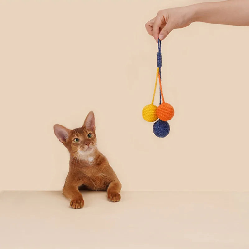 Bite-resistant cat teaser wand set with colourful attachments and catnip ball on a blue background