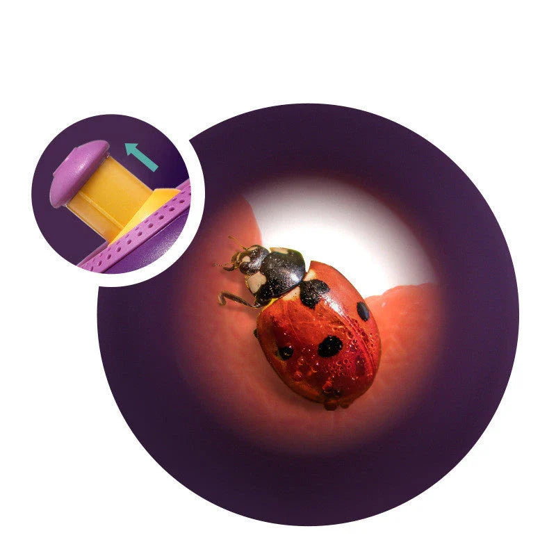 Scientific Outdoor Toys Plant Insect Biology Study Tool Set for Children with magnifying glass