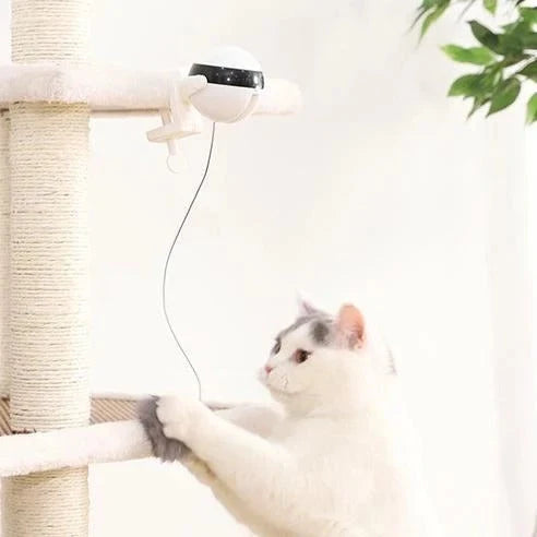 Electronic motion cat toy with real fur ball for interactive play