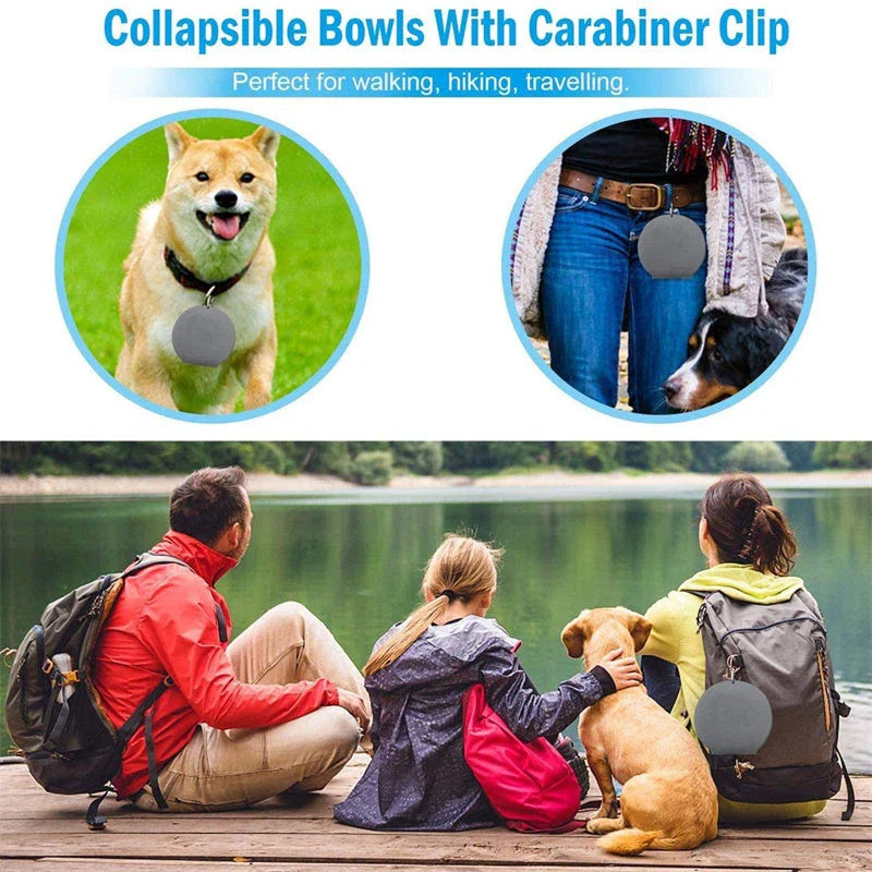 Collapsible double pet bowl with no-spill mat, perfect for travel
