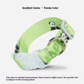 Green and colour gradient adjustable nylon dog collar with cartoon pattern, shown with buckle.