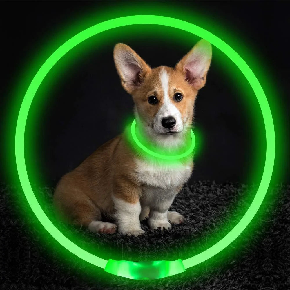 USB rechargeable pet safety collar with LED light for night visibility