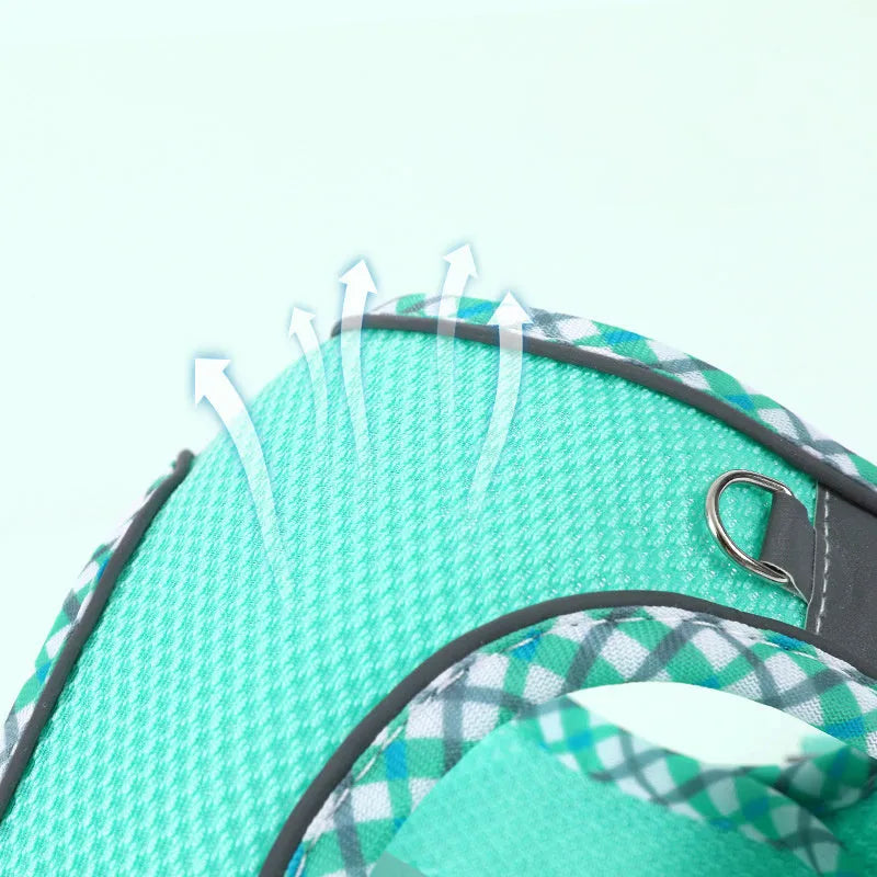 No-pull step in dog harness with breathable mesh and reflective strips, includes 1.2m leash, on a small dog
