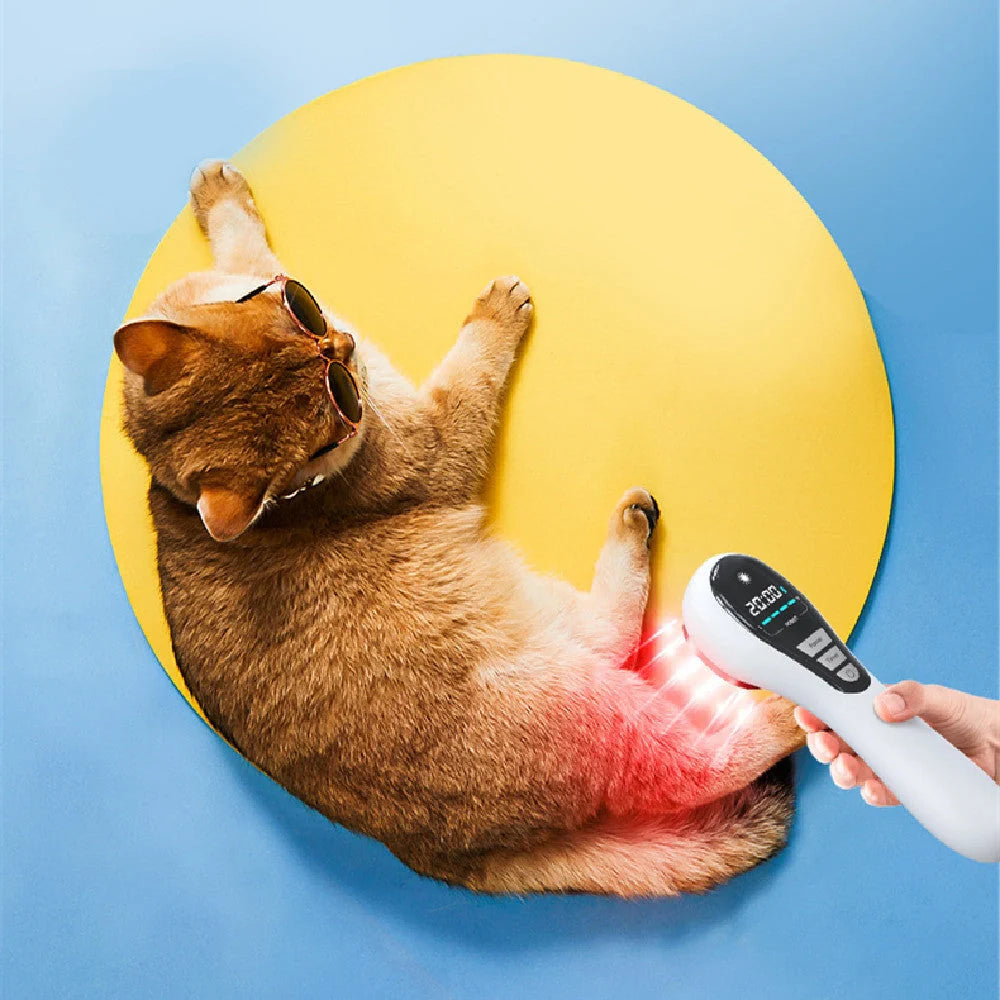 Semiconductor Laser Therapy Instrument with dual wavelength technology and USB power mode