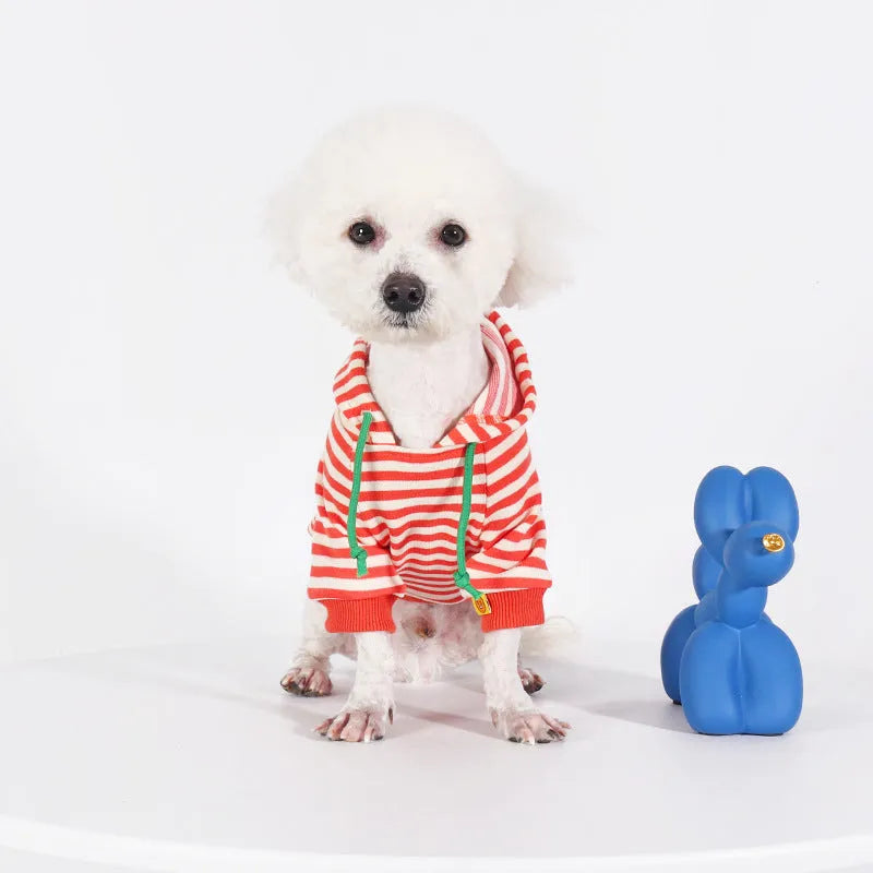 Orange cotton dog hooded sweater with Jarre Aero Bull Pug style on a mannequin.