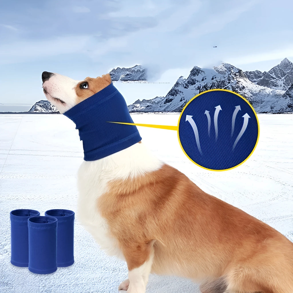 Blue or grey polyester headband scarf for dogs available in small, medium, and large sizes