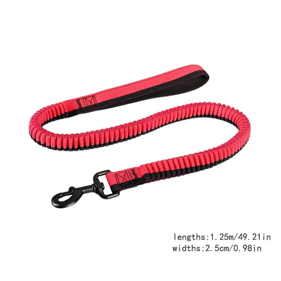 Green anti-violence dog training leash with elastic shock-resistant design and metal clip
