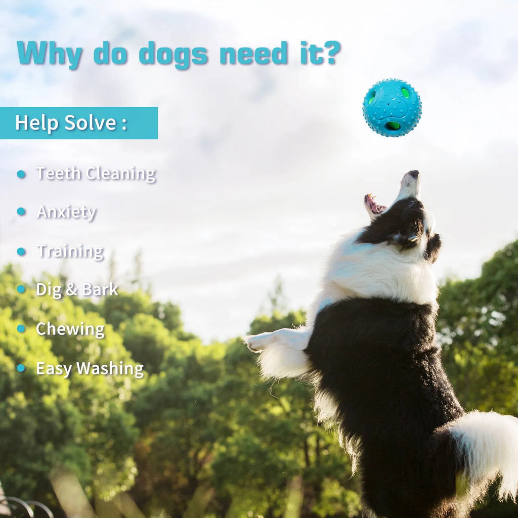 Blue Pet Squall Ball dog toy made from TPR material with 12.5cm diameter placed on grass