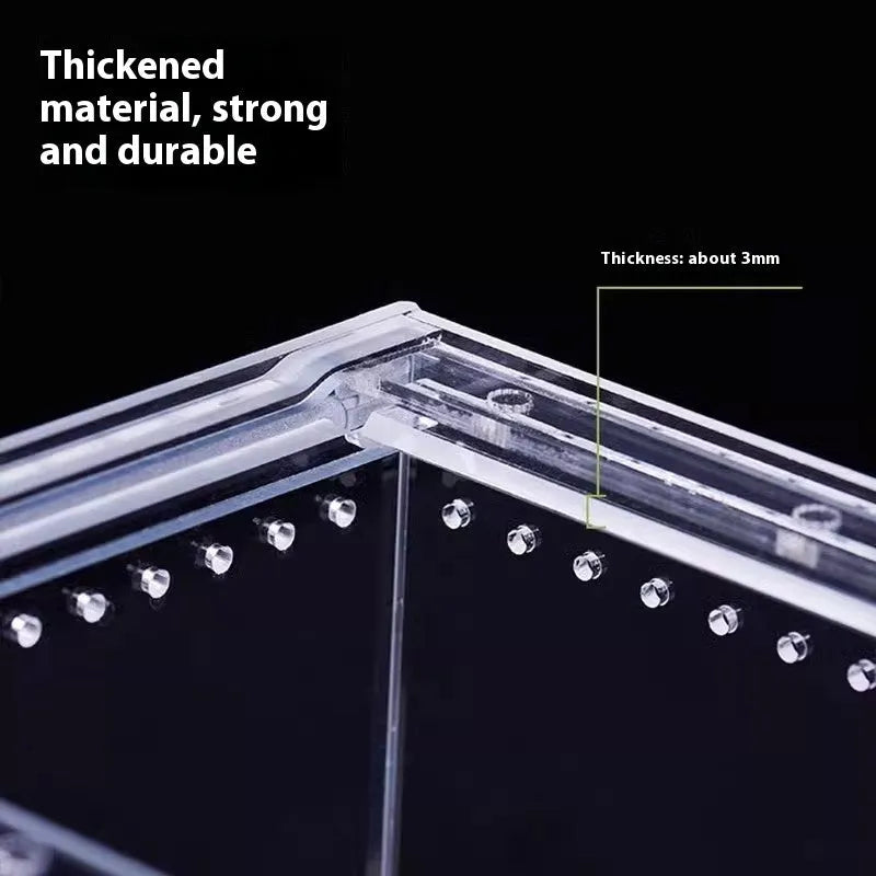 Transparent acrylic reptile feeding box showing dimensions and clear construction for crawler pets