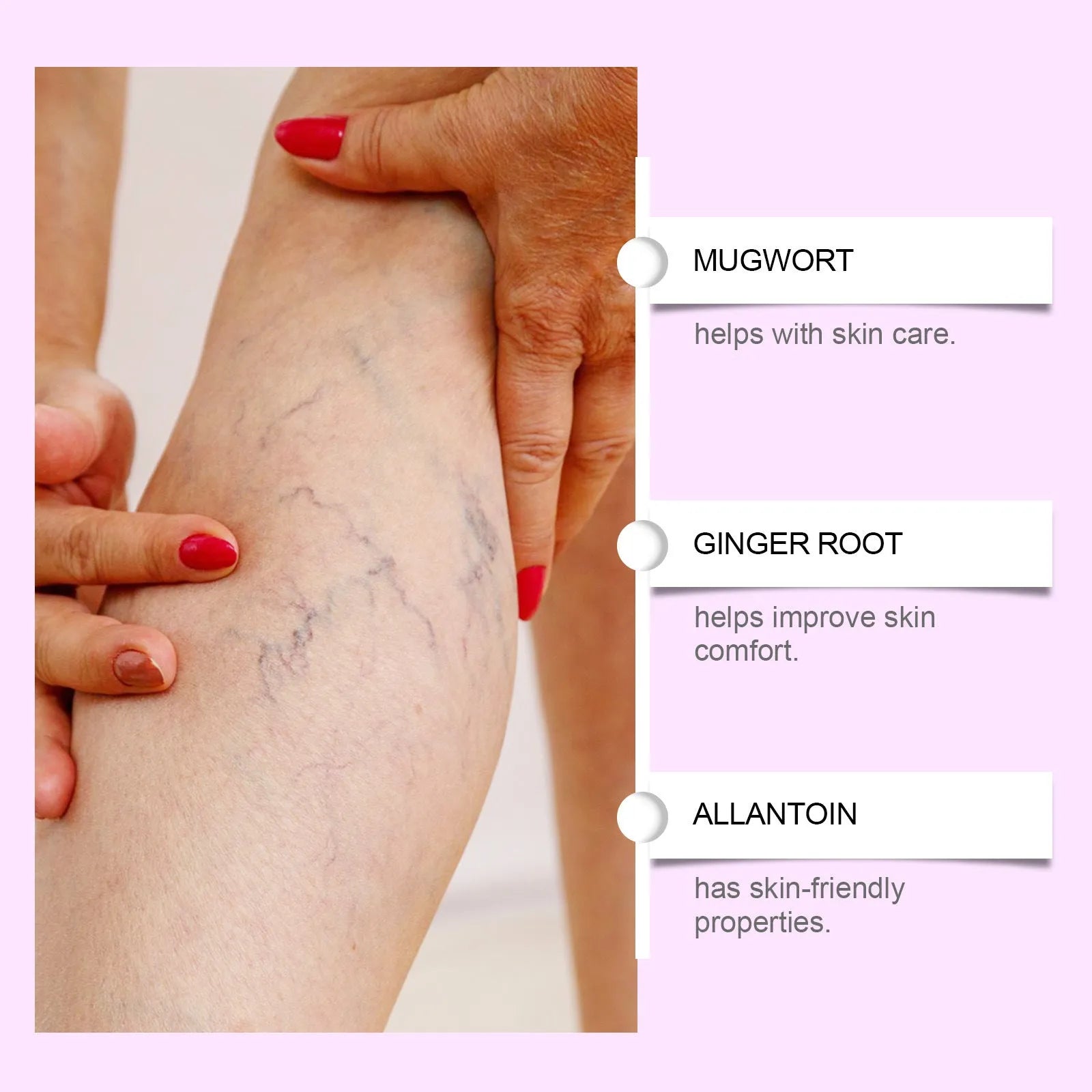 Leg nursing adhesive bandage with moxa leaf and ginger root formula