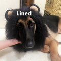 Brown dog wearing an adjustable lion mane wig costume with elastic band