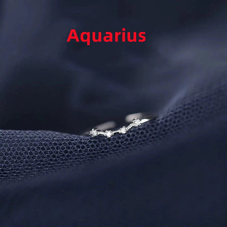 Silver Zodiac Sign Ring with detailed astrology symbols, electroplated for durability