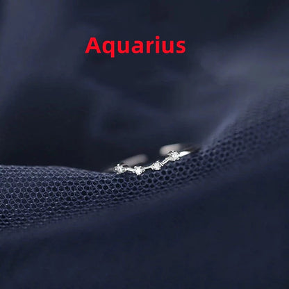 Silver Zodiac Sign Ring with detailed astrology symbols, electroplated for durability