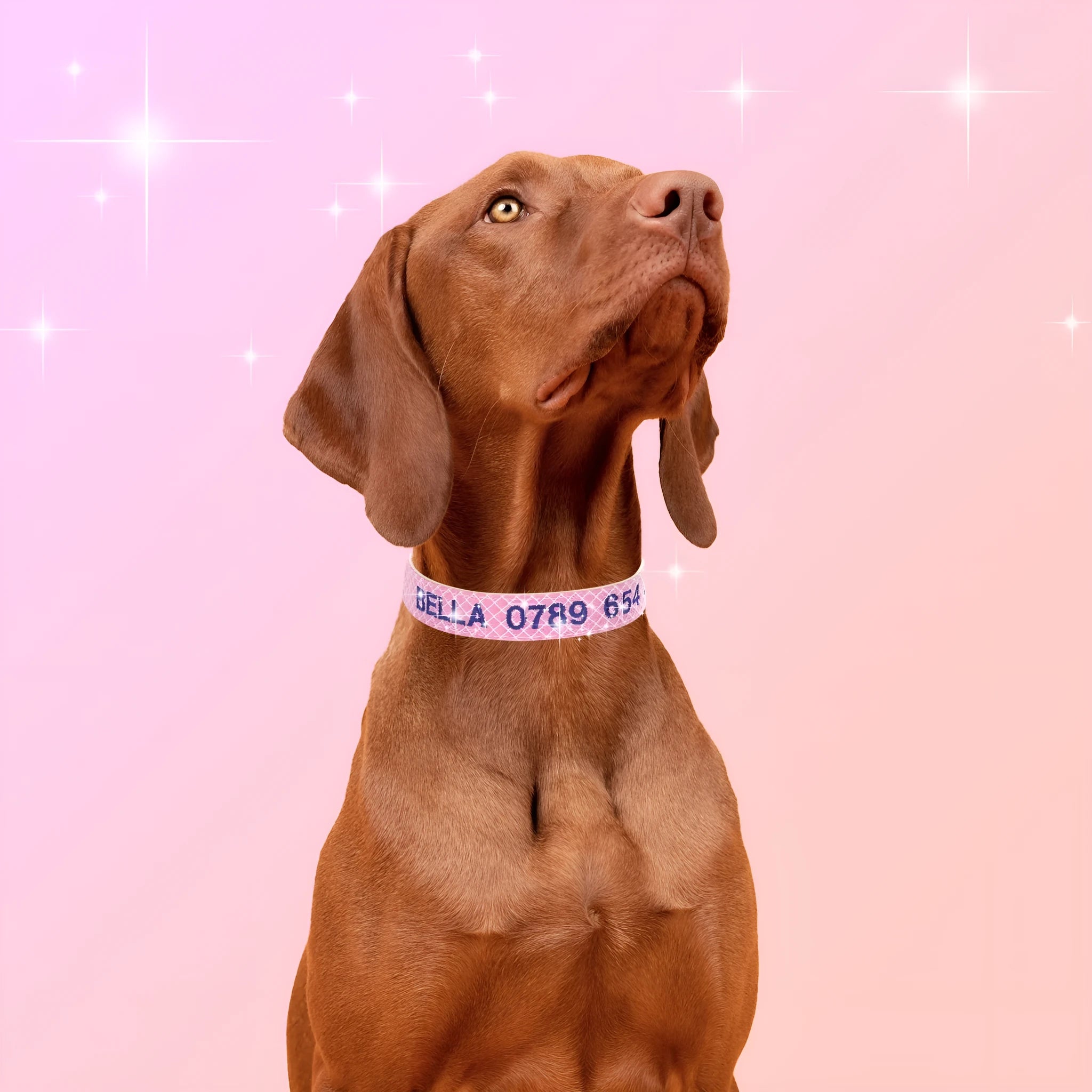 Embroidered phone number anti lost pet collar made from PU in fluorescent green colour for dogs and cats