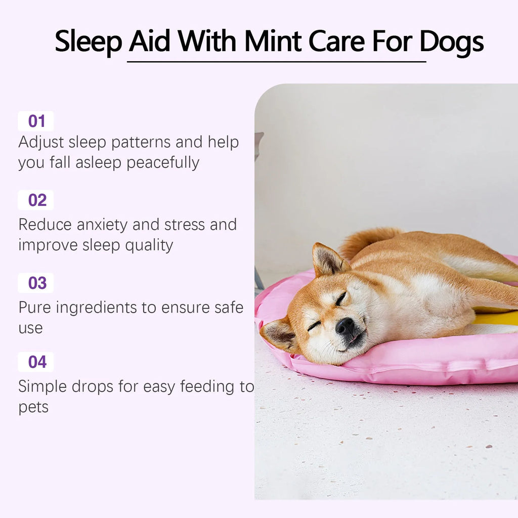 60ml Dog Sleep Drops bottle with dropper for pet nighttime calming