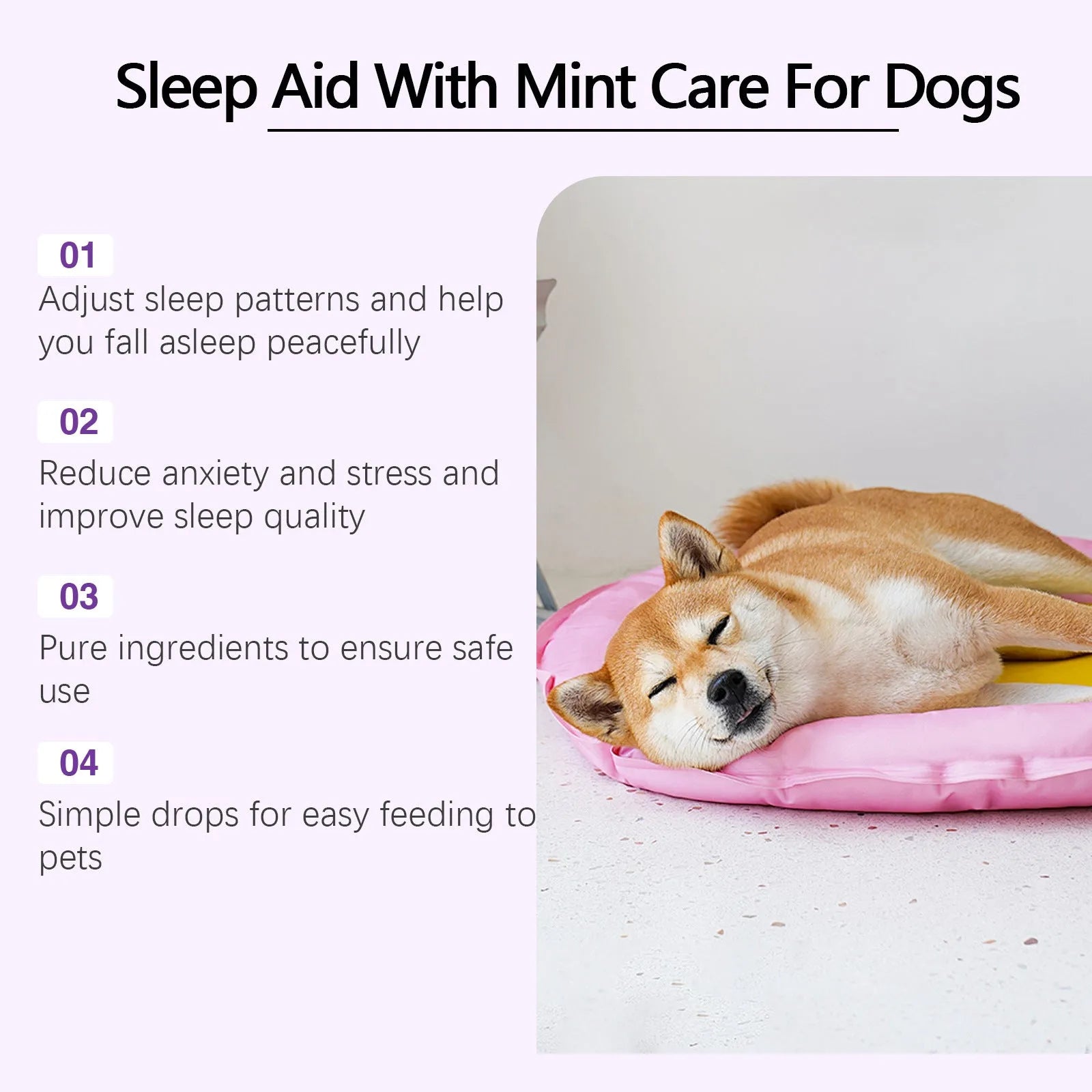 60ml Dog Sleep Drops bottle with dropper for pet nighttime calming