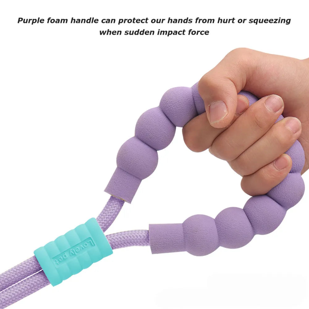Nylon dog leash with foam handle in four colour options: black, light purple, sky blue, yellow.