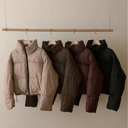 Stand collar short cotton-padded coat for women in slim fit design, available in four colours