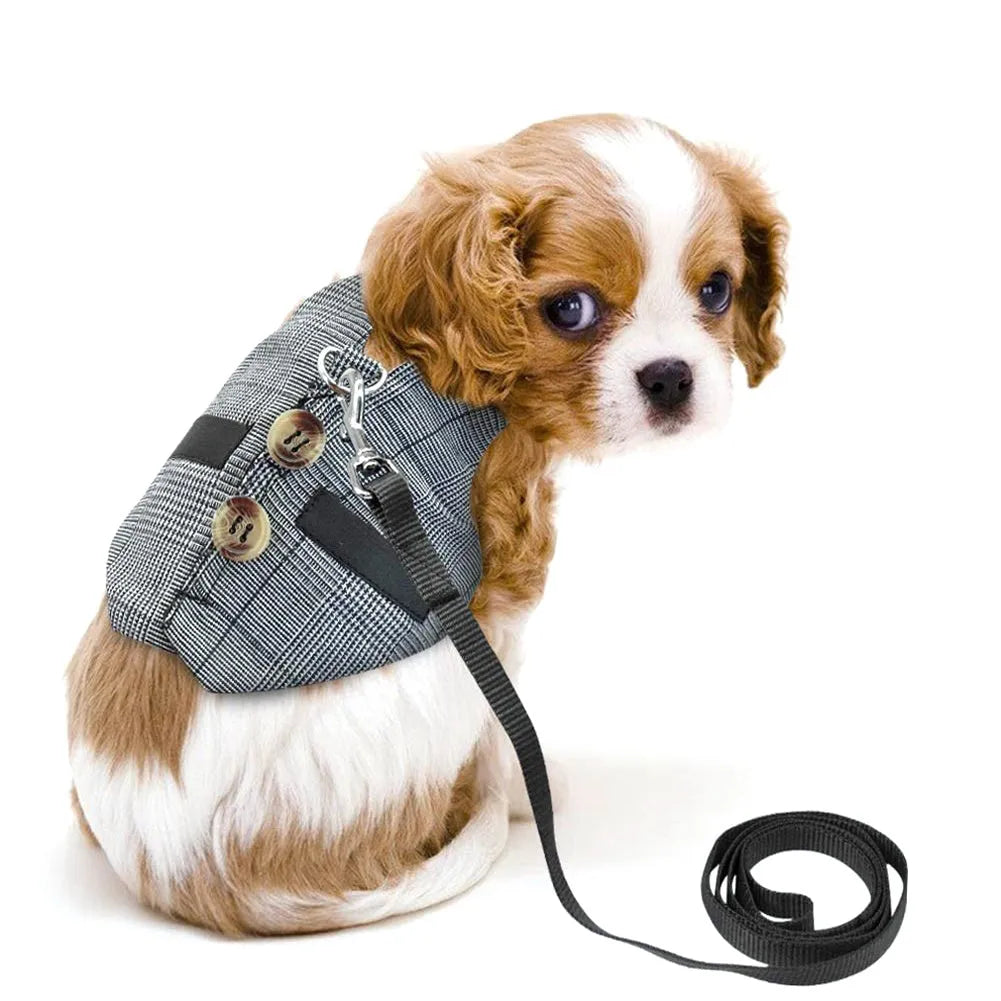 Grey cloth rabbit leash and dress set with chest strap for small pets