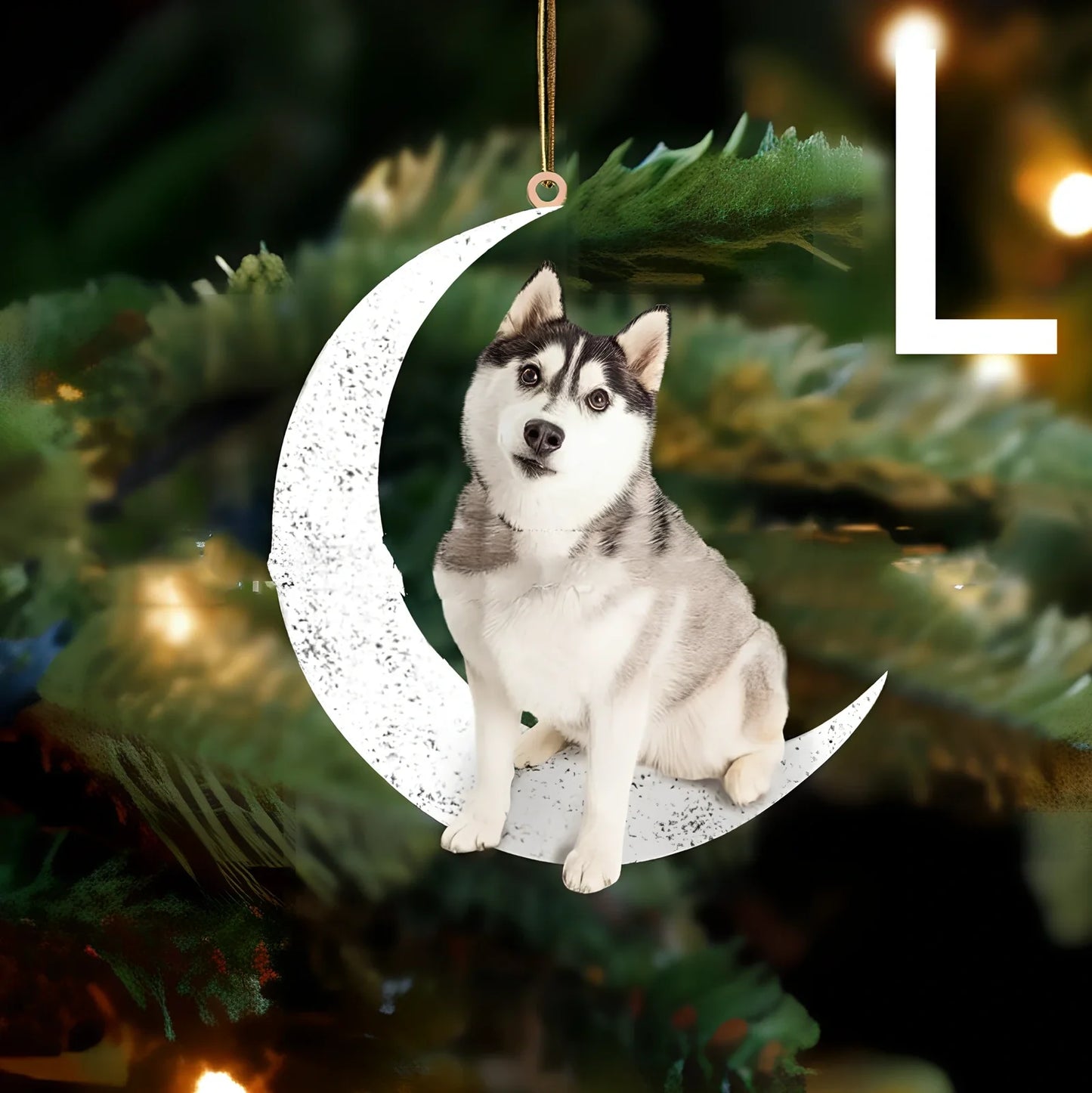 8.5cm acrylic hanging ornament with dog design in picture colour, style A labrador on clear background