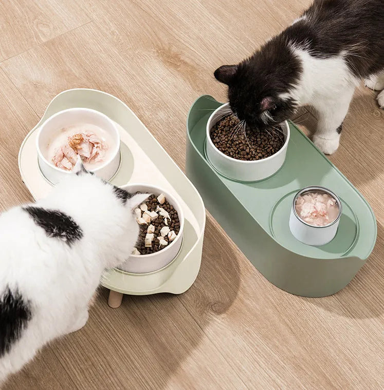 Green adjustable pet bowl set with tilted double compartments for food and water feeding