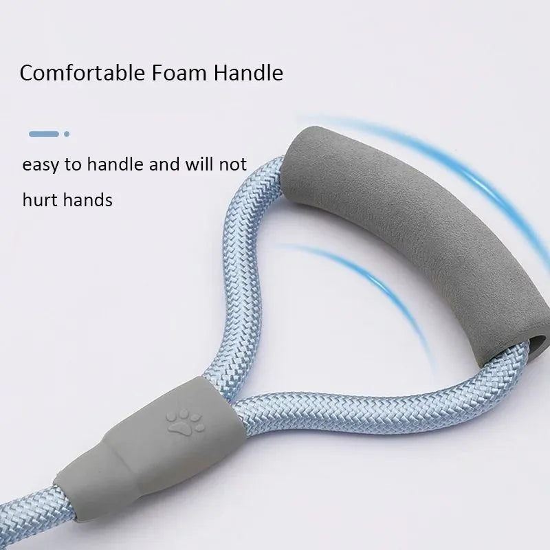 Blue double dog leash with soft foam handle for walking two small dogs