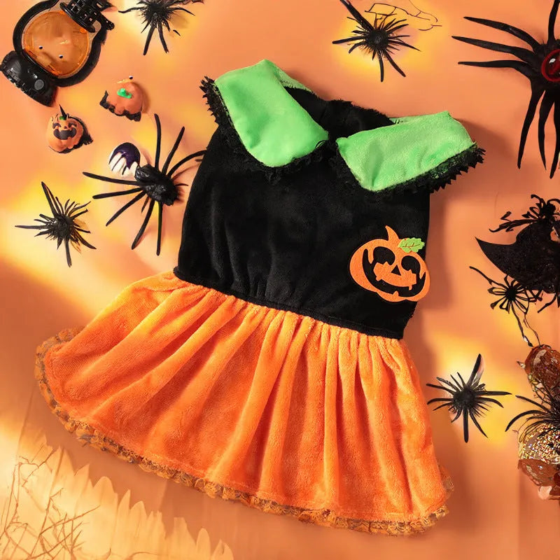 Halloween pet costume showing pumpkin skirt and sweater options in crystal velvet material for dogs and cats