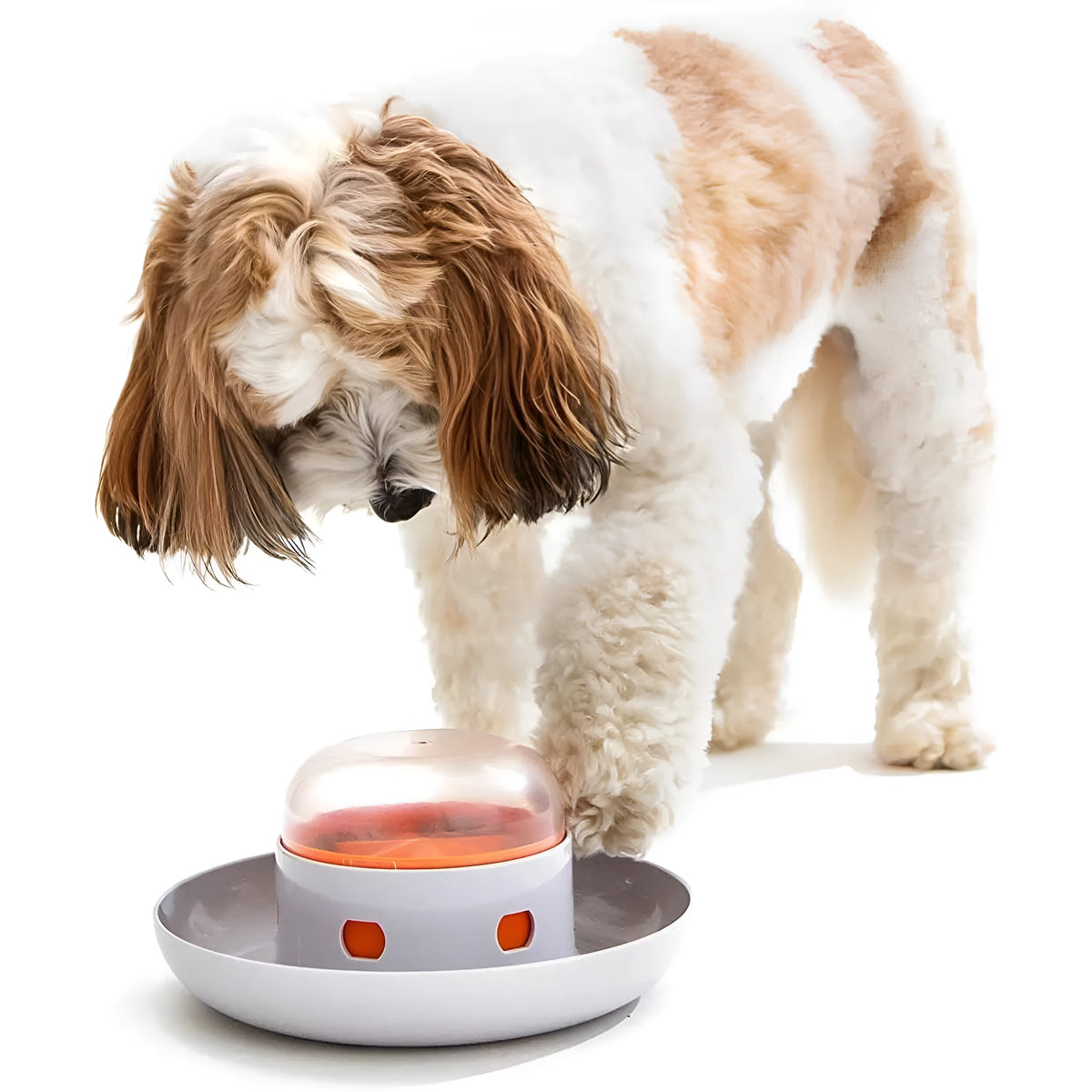 Automatic press leakage food feeder plastic slow feeder for dogs and cats dry kibble