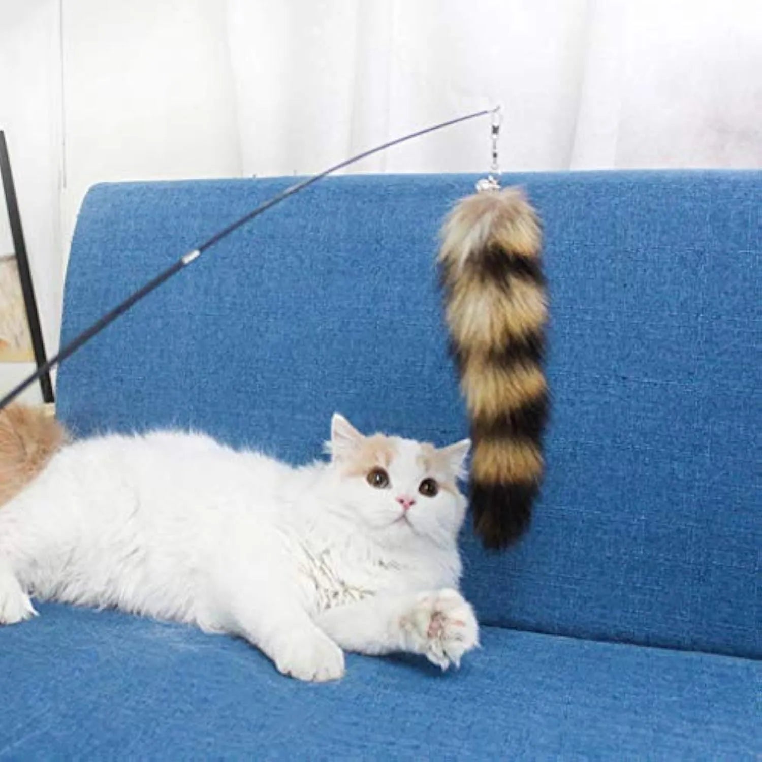 Black cat toy wand teaser with long elastic string for interactive play with cats