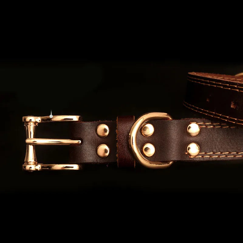 Genuine leather dog collar with engraved nameplate in brown on a wooden background