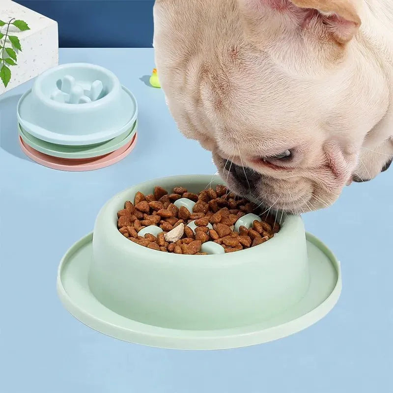 Blue PP plastic slow feeder dog bowl with maze pattern and non-slip base
