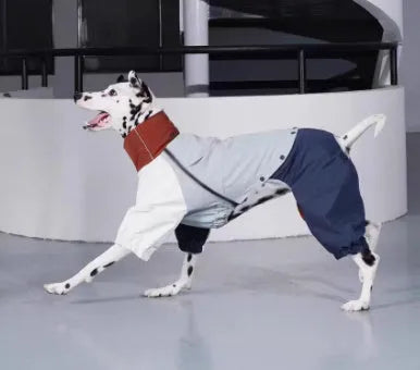 Blue four-legged polyester dog jacket on a medium-sized dog, outdoor setting