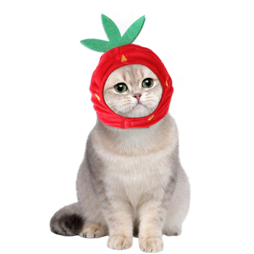 Cartoon-style cloth hat for cats in various designs, perfect for warmth and style