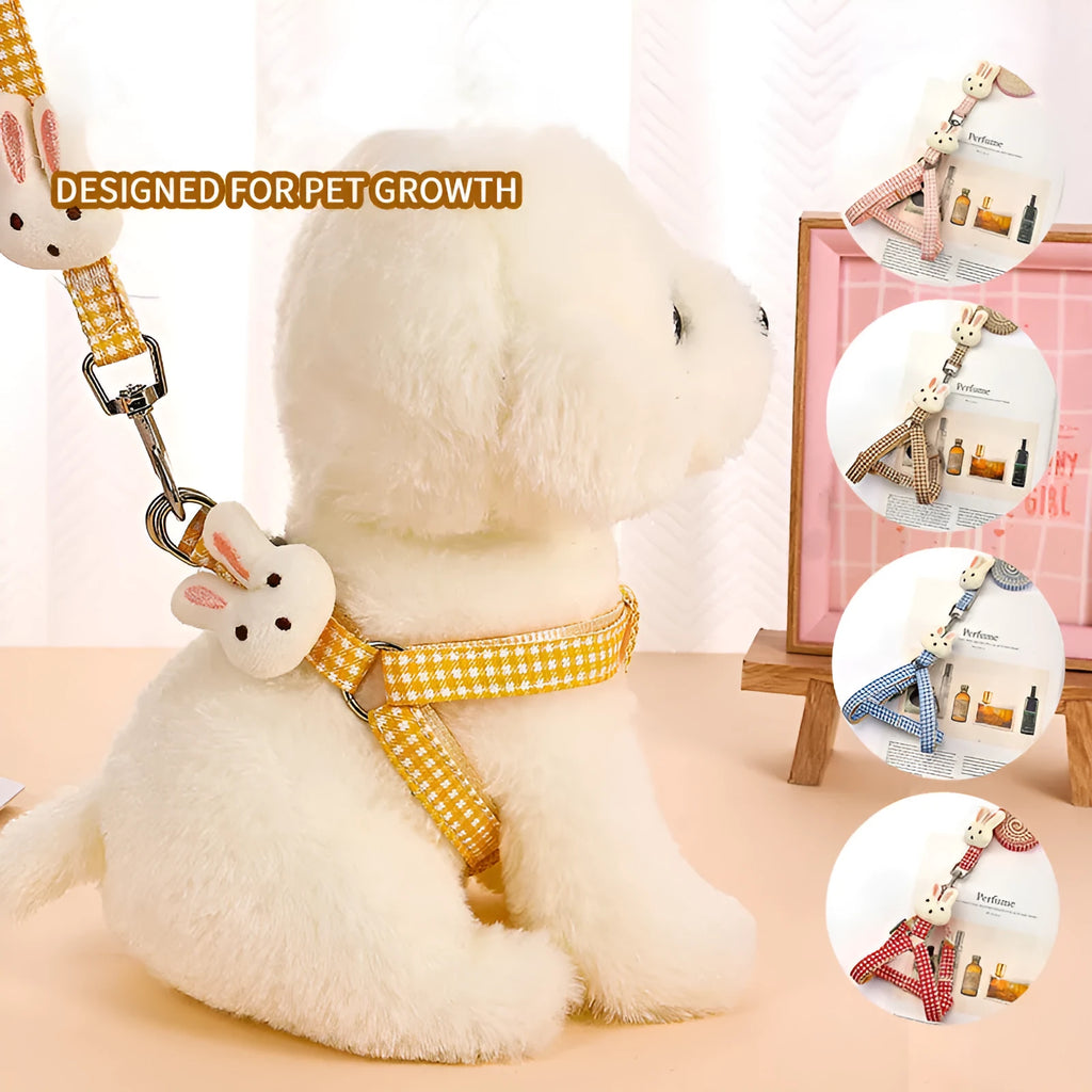 Small dog harness and leash set with quick release buckles in assorted colours.