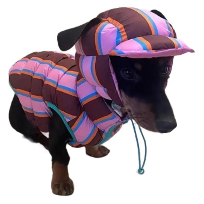 Dirty pink striped dog vest and matching hat set for autumn and winter wear.