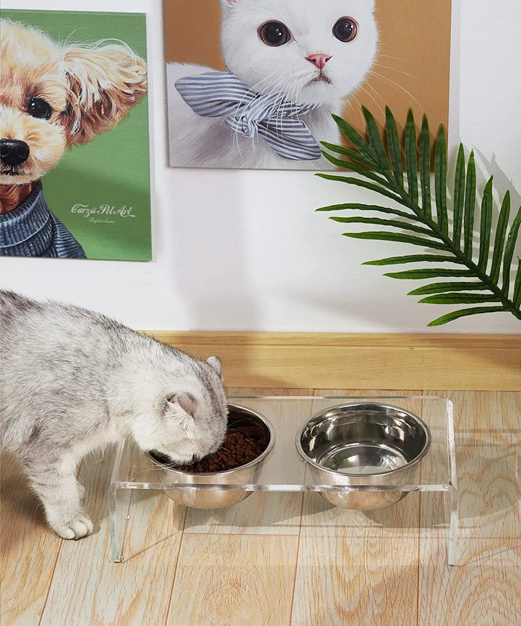 Transparent acrylic pet feeder rack for small dogs and cats, 39.5x18x10cm, on a tile floor