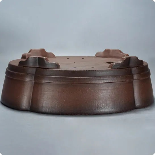 Classical purple clay bonsai pot with green plant old pile design, 50x39x16cm dimensions