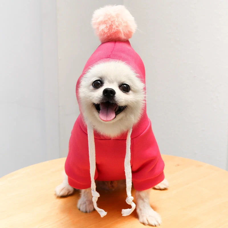 Two-legged hooded fleece outfit for dogs in fruit green, perfect for cooler weather