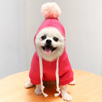 Two-legged hooded fleece outfit for dogs in fruit green, perfect for cooler weather