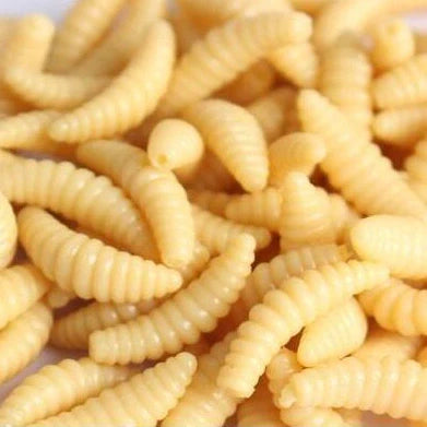 50 artificial maggot fishing lures showing segmented body design and colour variations