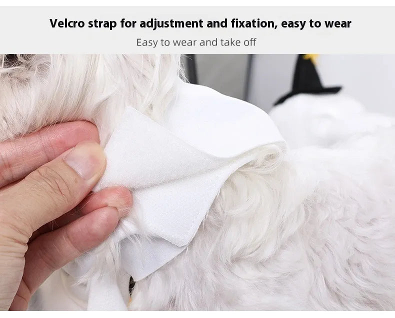 White pumpkin ghost costume suit for a dog on a mannequin, showing the full one-piece design.