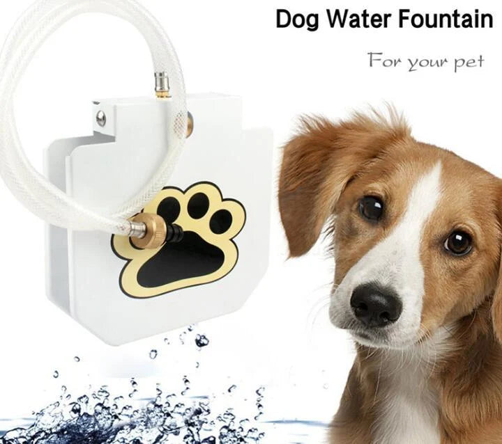 Outdoor dog water fountain with paw pad activation in durable steel construction