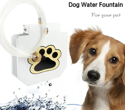 Outdoor dog water fountain with paw pad activation in durable steel construction
