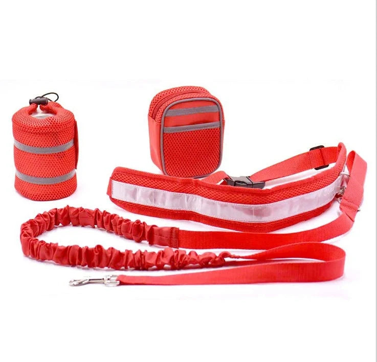Adjustable hands-free dog leash set in gray, black, green, and red options