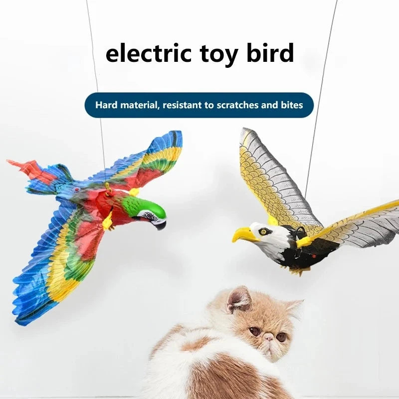 Interactive hanging eagle cat toy for active play and mental stimulation