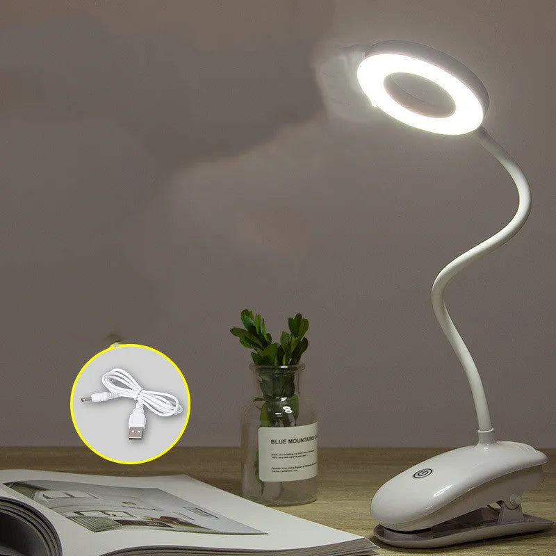 Clip-on rechargeable desk lamp with touch control and LED light source