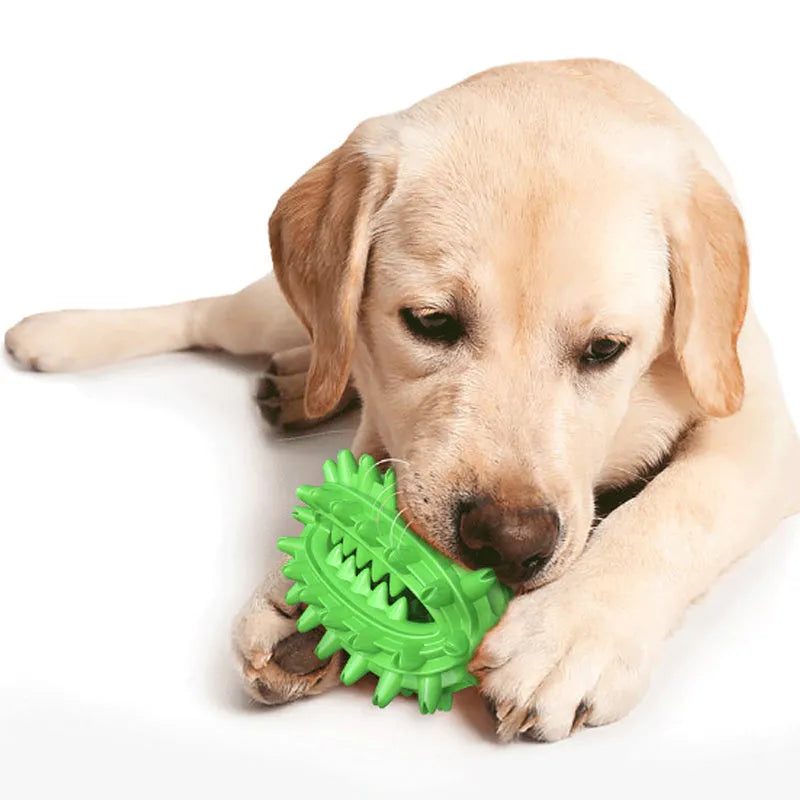 Green durable cactus-shaped dog toothbrush toy for medium to large aggressive chewers on a white background.