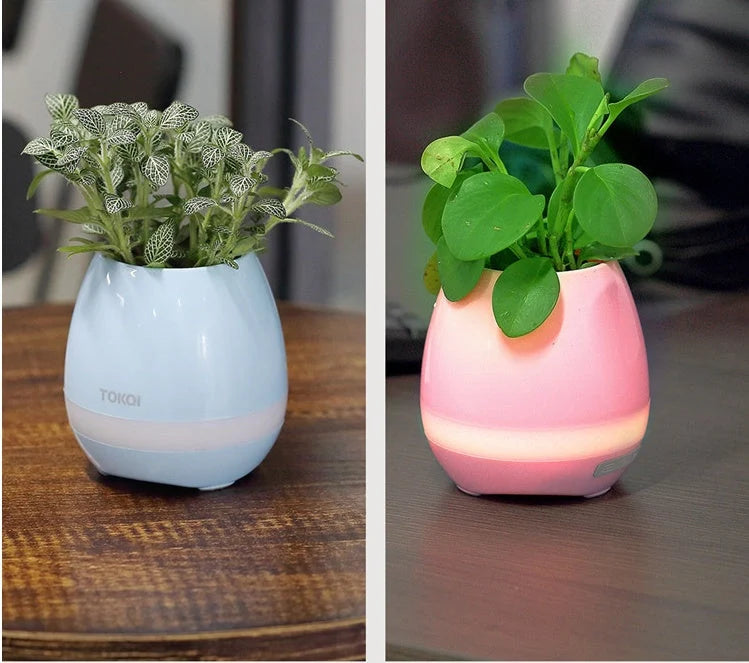 Touch-sensitive music vase desktop audio in pink, blue, and white