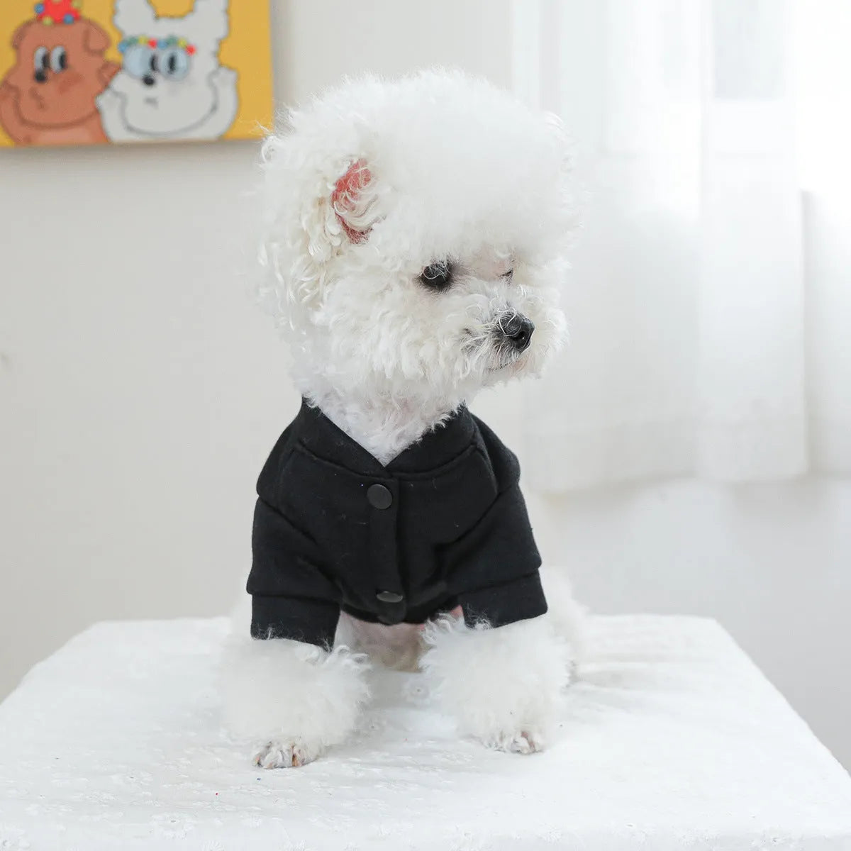 Kiss Sweater pattern pet jumper for dogs and cats in polyester casual style
