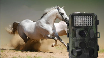 Military green Wild Hunting HD camera with 12x zoom lens and 2.0-inch LCD for trail and night use, 1080p resolution